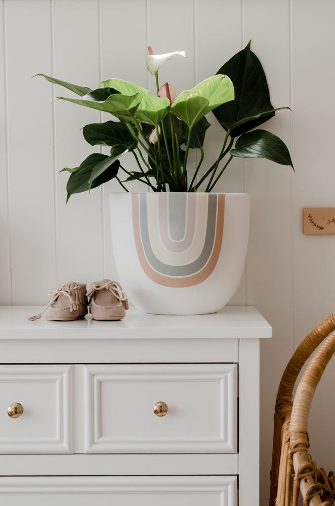 hand-painted pot petal rainbow design