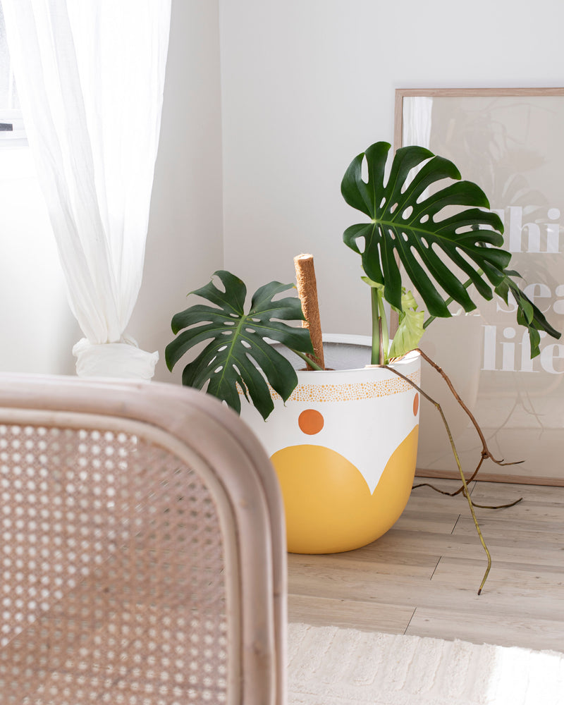 
            
                Load image into Gallery viewer, hand-painted pot sunburnt country design
            
        
